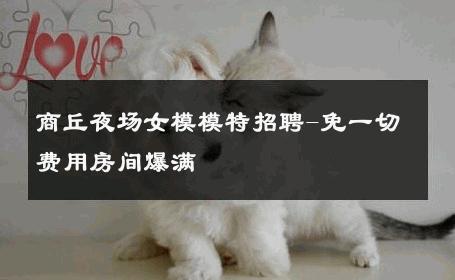 商丘夜场女模模特招聘-免一切费用房间爆满 