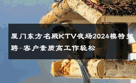 厦门东方名殿KTV夜场2024模特招聘-客户素质高工作轻松 