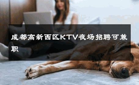 成都高新西区KTV夜场招聘可兼职 