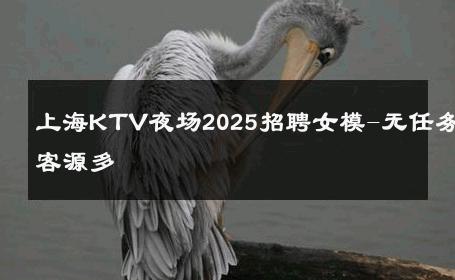 上海KTV夜场2025招聘女模-无任务客源多 