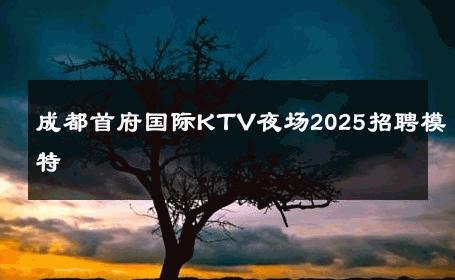 成都首府国际KTV夜场2025招聘模特 