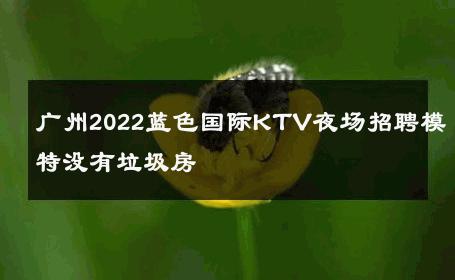 广州2022蓝色国际KTV夜场招聘模特没有垃圾房 