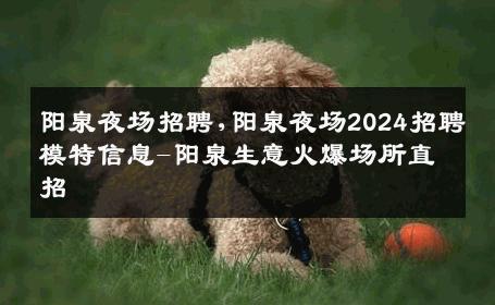 阳泉夜场招聘,阳泉夜场2024招聘模特信息-阳泉生意火爆场所直招