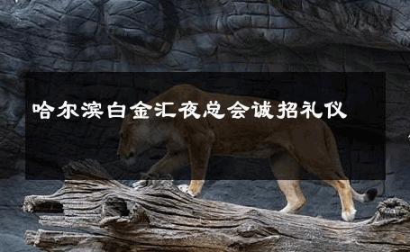 哈尔滨白金汇夜总会诚招礼仪 