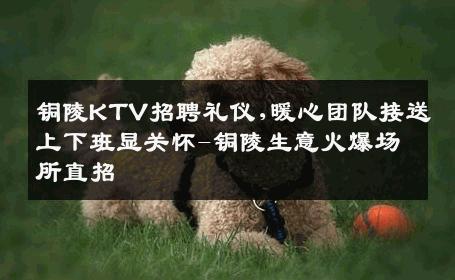 铜陵KTV招聘礼仪,暖心团队接送上下班显关怀-铜陵生意火爆场所直招