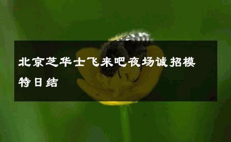 北京芝华士飞来吧夜场诚招模特日结 