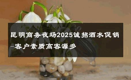 昆明商务夜场2025诚招酒水促销-客户素质高客源多 