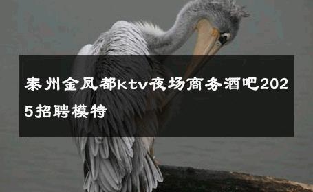 泰州金凤都ktv夜场商务酒吧2025招聘模特 