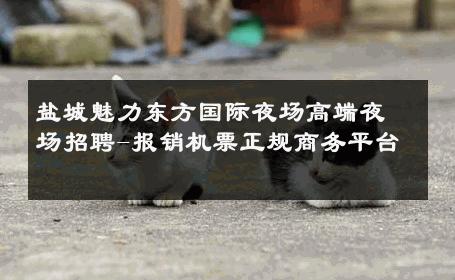 盐城魅力东方国际夜场高端夜场招聘-报销机票正规商务平台 
