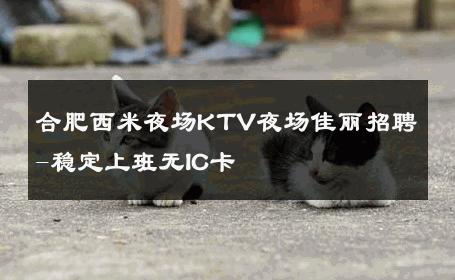 合肥西米夜场KTV夜场佳丽招聘-稳定上班无IC卡 