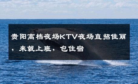 贵阳高档夜场KTV夜场直招佳丽，来就上班，包住宿 