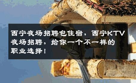 西宁夜场招聘包住宿，西宁KTV夜场招聘，给你一个不一样的职业选择！