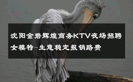 沈阳金碧辉煌商务KTV夜场招聘女模特-生意稳定报销路费 
