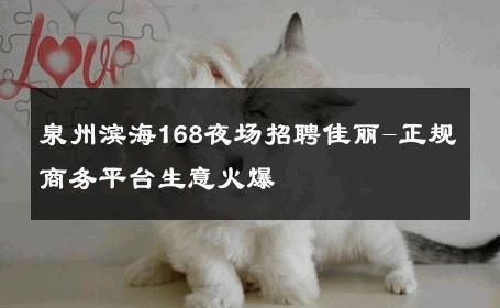 泉州滨海168夜场招聘佳丽-正规商务平台生意火爆 