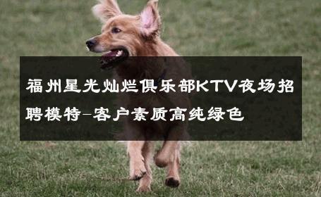 福州星光灿烂俱乐部KTV夜场招聘模特-客户素质高纯绿色 