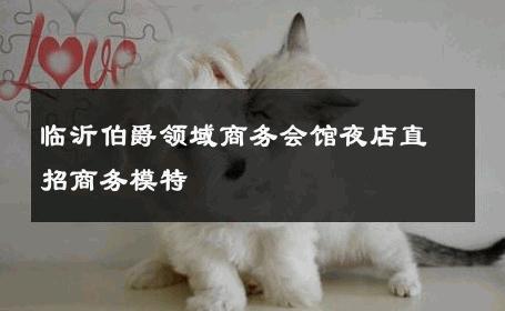 临沂伯爵领域商务会馆夜店直招商务模特 