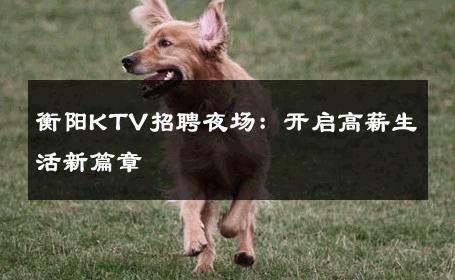 衡阳KTV招聘夜场：开启高薪生活新篇章