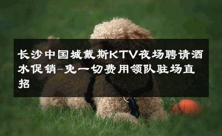长沙中国城戴斯KTV夜场聘请酒水促销-免一切费用领队驻场直招 