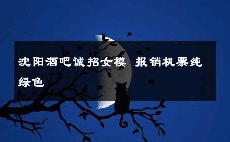 沈阳酒吧诚招女模-报销机票纯绿色 