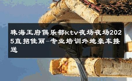 珠海王府俱乐部ktv夜场夜场2025直招佳丽-专业培训外地豪车接送 