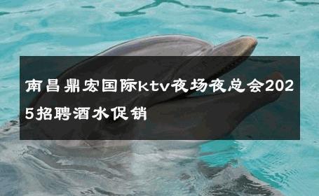 南昌鼎宏国际ktv夜场夜总会2025招聘酒水促销 
