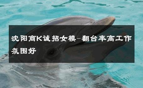 沈阳商K诚招女模-翻台率高工作氛围好 
