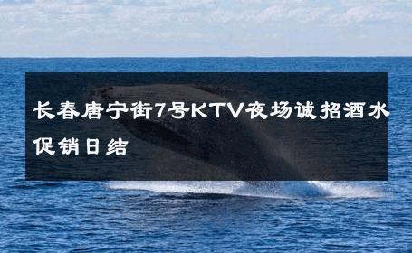 长春唐宁街7号KTV夜场诚招酒水促销日结 