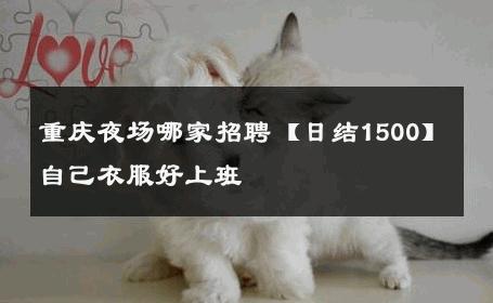 重庆夜场哪家招聘【日结1500】自己衣服好上班 