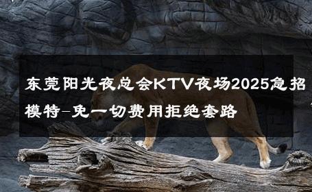 东莞阳光夜总会KTV夜场2025急招模特-免一切费用拒绝套路 