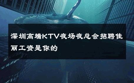 深圳高端KTV夜场夜总会招聘佳丽工资是你的 