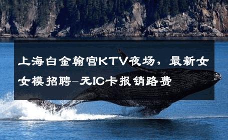 上海白金翰宫KTV夜场，最新女女模招聘-无IC卡报销路费 