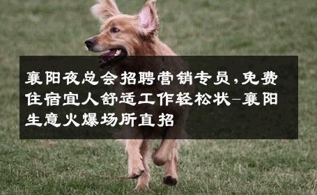 襄阳夜总会招聘营销专员,免费住宿宜人舒适工作轻松状-襄阳生意火爆场所直招