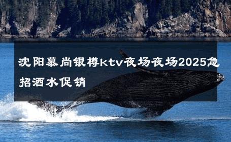 沈阳慕尚银樽ktv夜场夜场2025急招酒水促销 