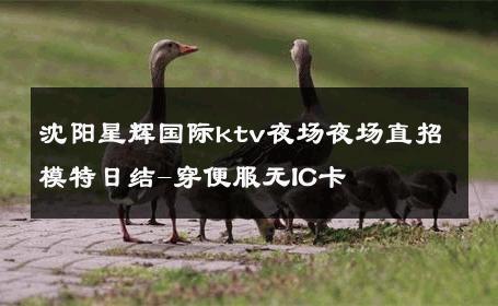沈阳星辉国际ktv夜场夜场直招模特日结-穿便服无IC卡 