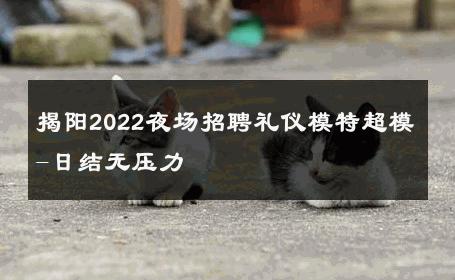 揭阳2022夜场招聘礼仪模特超模-日结无压力 