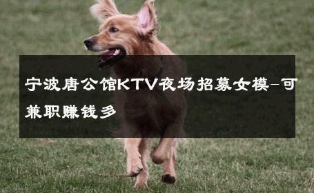 宁波唐公馆KTV夜场招募女模-可兼职赚钱多 