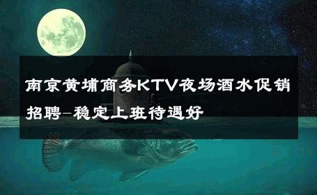 南京黄埔商务KTV夜场酒水促销招聘-稳定上班待遇好 