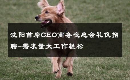沈阳首席CEO商务夜总会礼仪招聘-需求量大工作轻松 