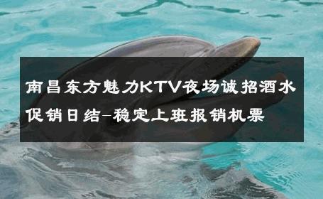 南昌东方魅力KTV夜场诚招酒水促销日结-稳定上班报销机票 