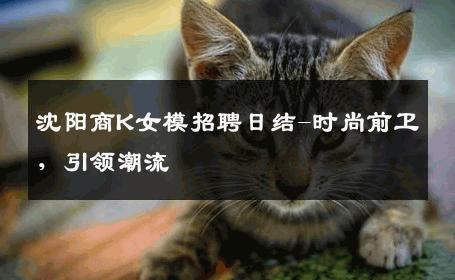 沈阳商K女模招聘日结-时尚前卫，引领潮流 