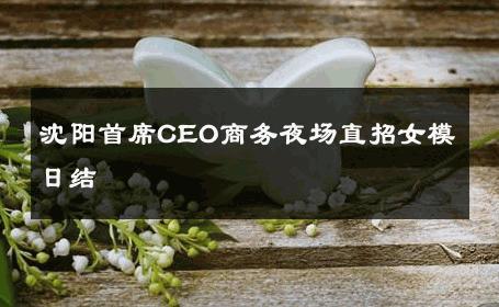 沈阳首席CEO商务夜场直招女模日结 