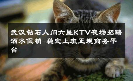 武汉钻石人间六星KTV夜场招聘酒水促销-稳定上班正规商务平台 