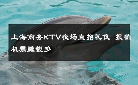上海商务KTV夜场直招礼仪-报销机票赚钱多 