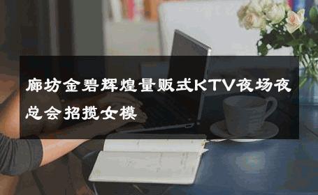 廊坊金碧辉煌量贩式KTV夜场夜总会招揽女模 