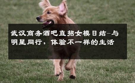 武汉商务酒吧直招女模日结-与明星同行，体验不一样的生活 