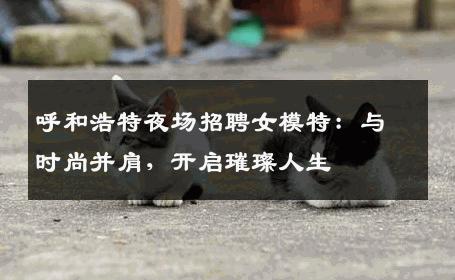 呼和浩特夜场招聘女模特：与时尚并肩，开启璀璨人生