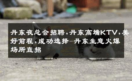 丹东夜总会招聘,丹东高端KTV,美好前程,成功选择-丹东生意火爆场所直招