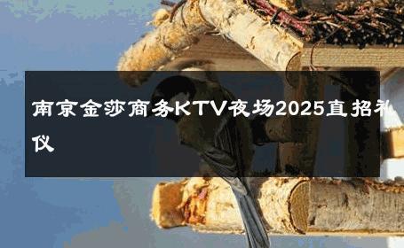 南京金莎商务KTV夜场2025直招礼仪 