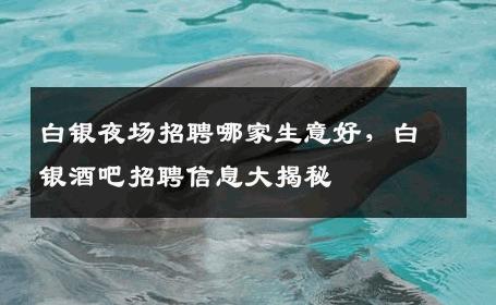 白银夜场招聘哪家生意好，白银酒吧招聘信息大揭秘