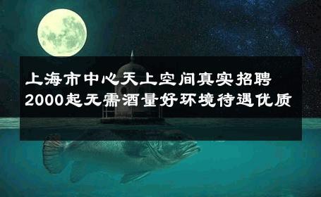 上海市中心天上空间真实招聘2000起无需酒量好环境待遇优质 